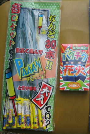 �T����ǂ������邩�H�͂��܂��Ԃ蓢���ɑ������H