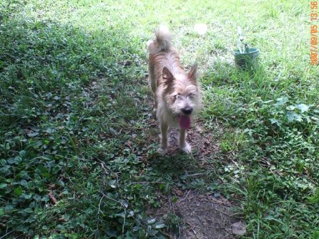 �{�N������`�����܂����E�E�E