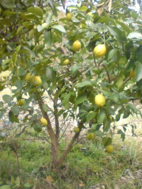 �����H�׍��A�����ς��������I