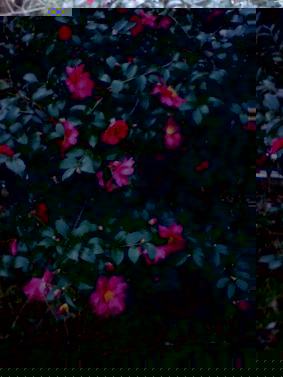 �������J�I�c�o�L