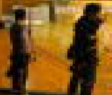 �˂����낵�i�ڂ����������ł��܂���j