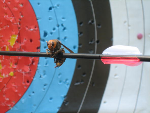 �������A��点�ʐ^�ł�(^_^)/