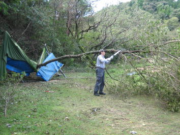 �|�؂Ɗi������ˎ�