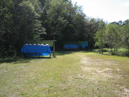 �U�O���͔���ł����璍�ӂ��ăl�@(^_-)