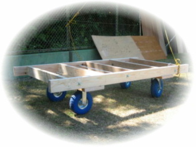 �A���t�@�C�u�̋~���傾�I