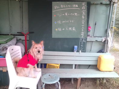 �ʐ^���N���b�N����Ɗg�債�������o�܂��I