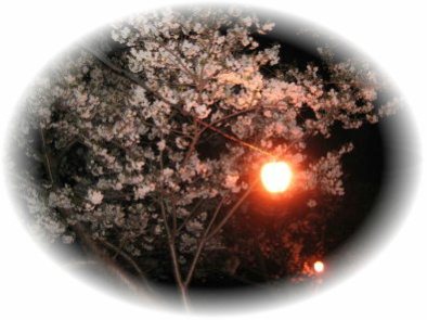 �S���R������P�P���܂ł���Ă܂��B�i�����͖�̂݁j