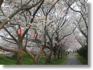 ���Ԃ͂���Ȋ����ł�(^_^)/