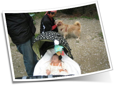 �E�����͂Ȃ�Ƃ������o�[�̋@�����Ƃ낤�Ƃ��Ă��܂��I