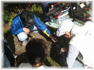 ���̎��_�ŁA���݂��Ă��܂��Ă����̂����m��܂���(-_-;)