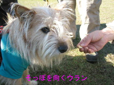 ����́A�Ȃɂ��댯�ȗ\���I