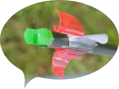 ����Ȃ��ƊԈႦ�ẮA�{���ɒp���������ł��ˁB(-_-;)