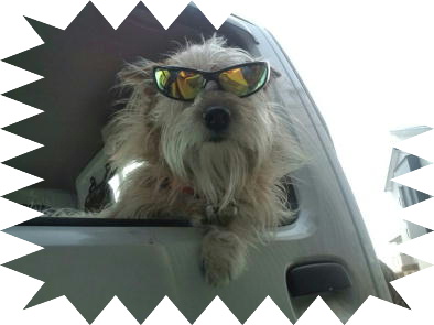 �A�^�V�̓E�U�C�Ƃ͎v�����񂾃��ǂ��`����`�Ȃ��ȁ`�B