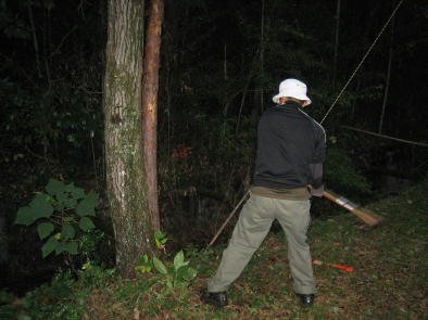 �p���[�S�J�I