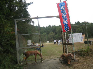 �V�J�ƃs���[�}�����o�}���B