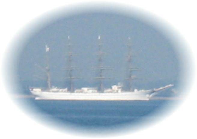 ��^���D�ŊX������