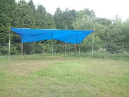 ��e���g�����@!(^^)!