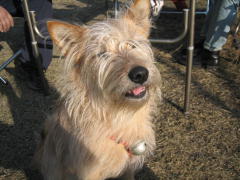 �Q��ڂ̓o��B�킽�����u�����v�ł��B(^^)/