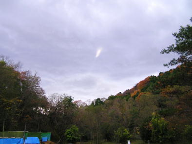 �����ɔ��˂����_�̂悤�ł����E�E�E(^_^;)