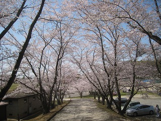 �Ԍ������Ă��Ă͌��ʂ��c���܂���I