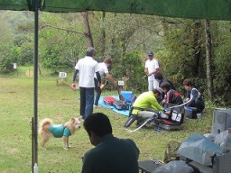 �����͓�̎��B�����͌i�i�������߂邼��