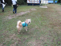 �i�����Ⴑ��́I