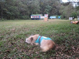 �E���̓����炵�����̂́H