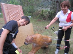 �C�e�e�e�e�E�E�E�E(*_*)