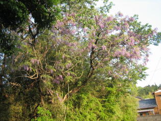 ���Ў������������������B