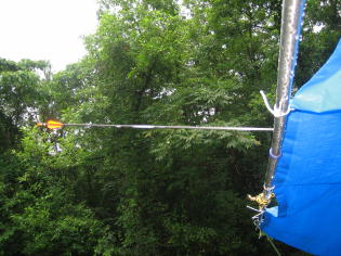 ���ɂ��������n�v�j���O�ł��@(>_<)