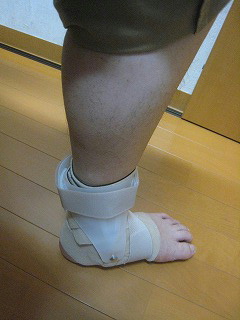 �M�u�X���������Ȃɋ��ۂ��闝�R�́H