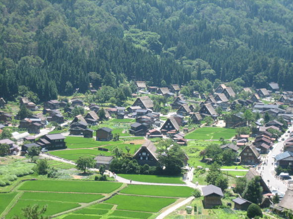 ���E������Y�@���싽�֍s�����Ⴂ�܂����B