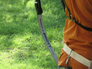 �X�X�O�s�w�ł��B