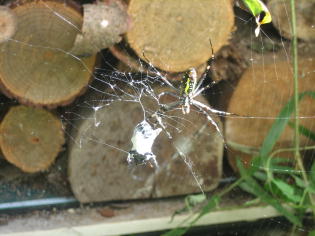 �։��]���I