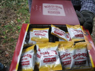 �_�˓y�Y���͂��܂����I