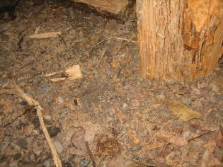 ���ꂾ���V���A�����o��ƁA�O���e�X�N�ł��ˁI