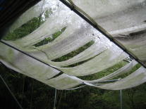 �܂������팻�ۂł́H