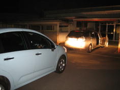 ��͂�V�g���G���̕����������ł���ˁB