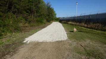 ����񂪌��p�œ��ʏo���I