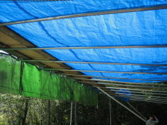 �Ō�͋C�����Ŋ����グ�܂��傤�I