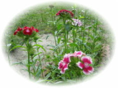 ���K����̂悤�ȃC���[�W���ȁH