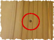 �������������Ƃ͉Ƒ��ɂ͔閧�ł��I