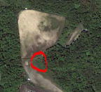 �o�T�F�f�����������@�l����