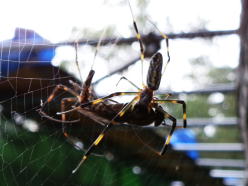 �Ǘ��l�́A���܂�D���ȃV�[���ł͂���܂���B