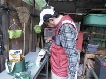 �ˎ傱����������