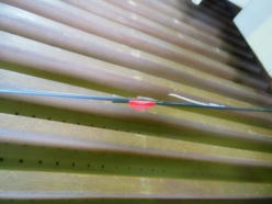 ���������S�ڂ���