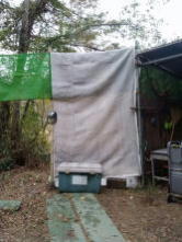 �i������Ã����W