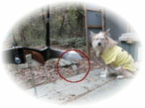 �w���ψ��́u�����v�����