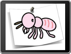 �Ã����W�̃V���A���i�Ǘ��l�j�͒���܂���I