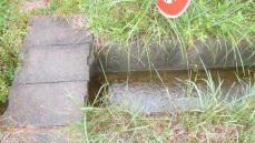 �r���H����ꂻ���B